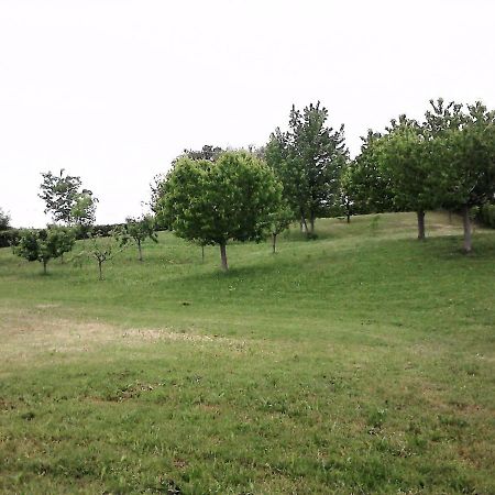 Casa In Campagna _Lori 볼타 만토바나 외부 사진