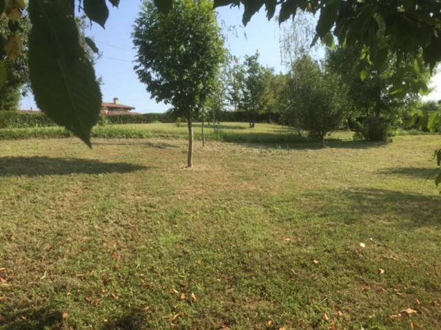 Casa In Campagna _Lori 볼타 만토바나 외부 사진