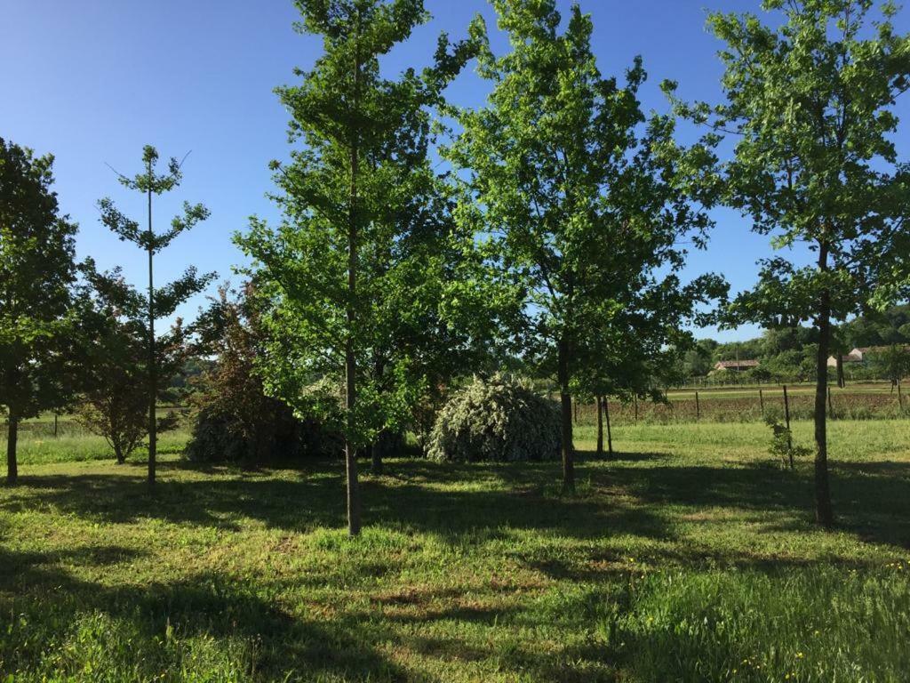 Casa In Campagna _Lori 볼타 만토바나 외부 사진